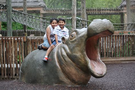 Free Images Animal Zoo Stallion Sculpture Kids
