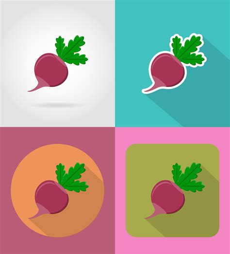 Radishes Vegetable Flat Icons With The Shadow Vector Illustration