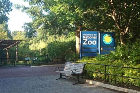 How The National Zoo In Dc Is Dealing With The Shutdown Wtop