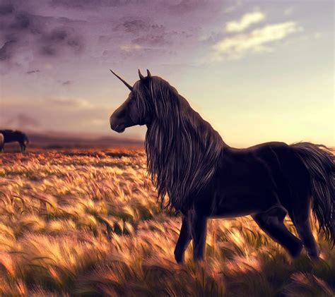 Download Gambar Wallpaper Black Unicorn Hd Terbaru 2020 Miuiku