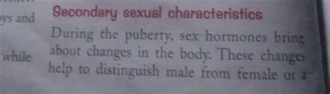 Secondary Sexual Characteristics During The Puberty Sex Hormones Bring A