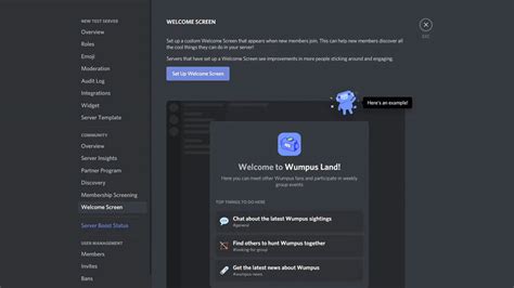 How To Set Up Verification On Discord