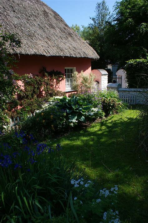 Irish Cottage And Garden By Michael Cryer Irish Cottage Garden Cottage
