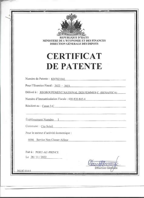 Patente Haiti Democracy Project