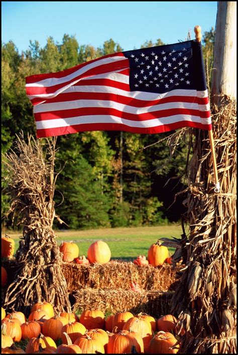 American Flag And Pumpkins American Flag Images American Flag Art