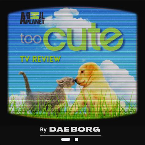 too cute the cutest show you will ever watch a tv review enloe eagle s eye