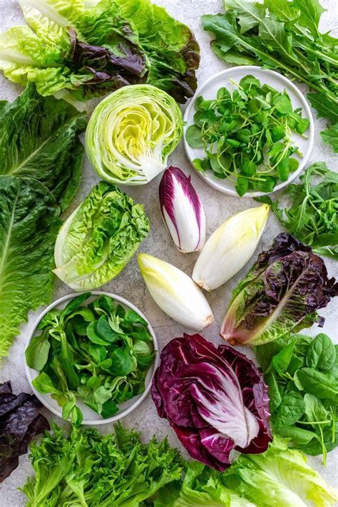 Explore The Many Different Types Of Lettuce And How Each One Can Make A