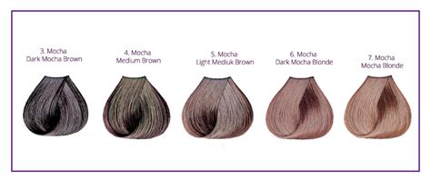 If you have warm undertones, brown shades like chestnut, dark chocolate, mushroom brown, and dark auburn will look fabulous with your skin. Mocha Hair Color Chart, Highlights Ideas with Pictures ...