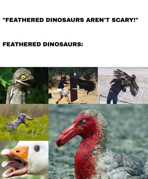 Feathered Dinosaurs Arent Scary Rdinosaurs