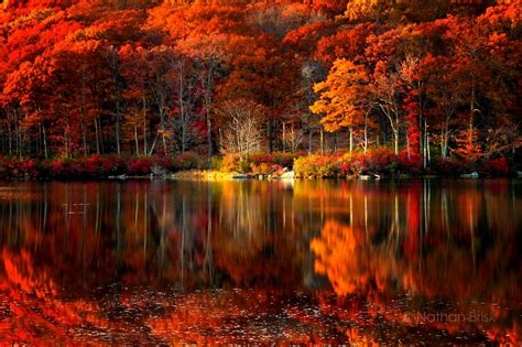 Autumn Reflections In New York Autumn Scenery Autumn Scenes Scenery