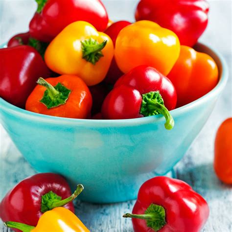 I stream 4x a week (mo/we/fr/su), 10 hours each stream and you can find me on twitch. Mini Belle Sweet Pepper Plants for Sale | Free Shipping