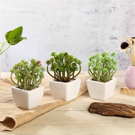 Efavormart Set Of 3 7 Assorted Faux Succulent Mini Green Plant In