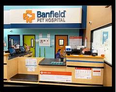 Banfield Pet Hospital Hours The Secret To Optimal Pet Health