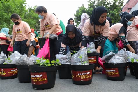 Dorong Ketahanan Pangan Di Jakarta Relawan Mak Ganjar Tanam Ratusan