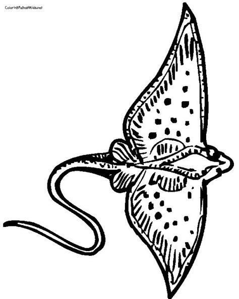 Stingray Coloring Page - Coloring Home