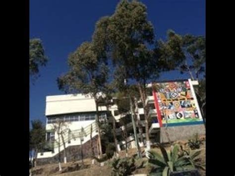 We did not find results for: CONOCIENDO FACULTAD DE TURISMO Y GASTRONOMÍA (CERRO DE ...
