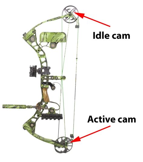 How To Adjust The Draw Length Of A Compound Bow A Visual Guide 2022