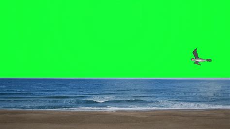 Beach Green Screen Playa Fondo Verde Para Editar Youtube