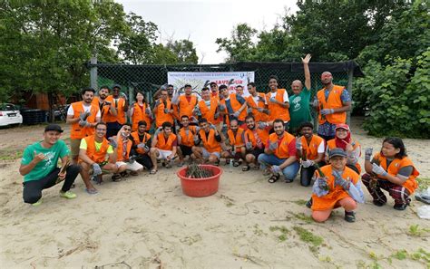 Penanaman pokok bunga bukan sahaja dapat mencantikkan alam sekitar tetapi dapat mengembalikan semula kehijauan sesuatu tempat. Mahasiswa FKASA pupuk semangat cintakan alam sekitar | UMP ...