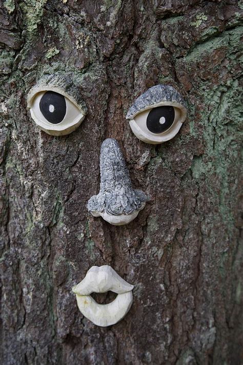 Tree Face Photograph By Allan Morrison