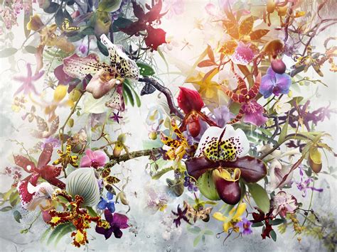 Jesper Krijgsman | Artwork Seduction