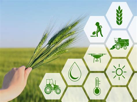 Agritech Market Trends To Watch In 2021 And Beyond The Insight Partners