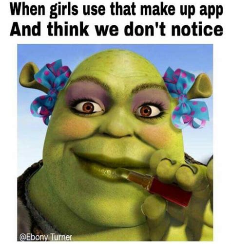 Pin By Kaytlynn Smith On Memes Shrek Memes Shrek Tumblr Funny