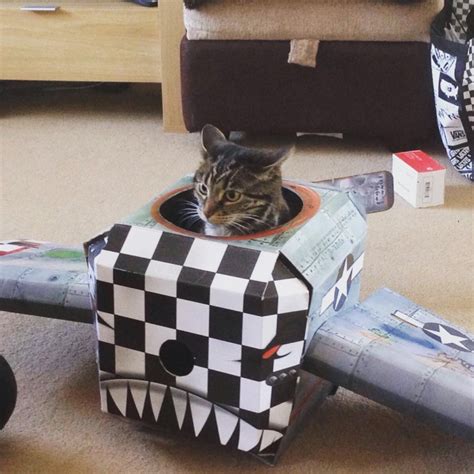 Cardboard Tanks And Planes For Cats Are A Thing And Cats Are Now Ready