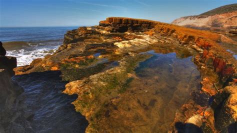 Your flower arrangement will be delivered by a florist in roches point. Point Loma Tide Pools, San Diego, CA - California Beaches