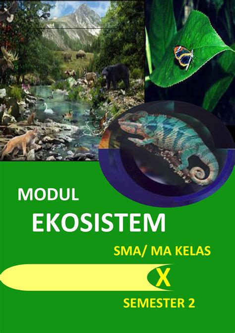 28+ Koleksi Buatlah Gambar Ilustrasi Tentang Ekosistem ...