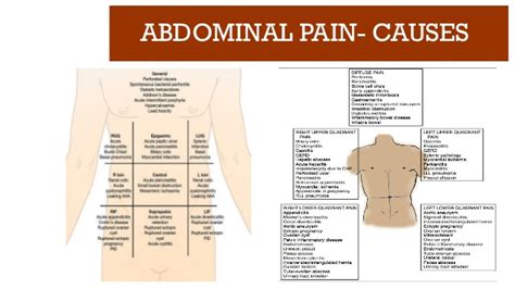 Abdominal Pain All Quadrants Case Based Learning