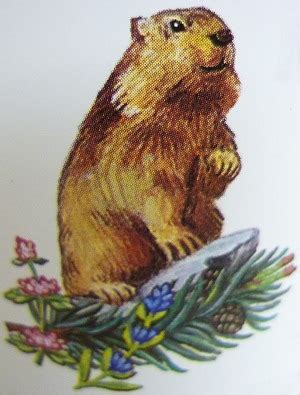 We did not find results for: Murmeltiersalbe Original Röck | Murmeltiersalbe Mack