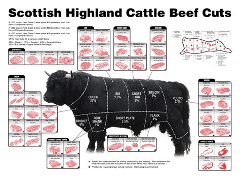 Scottish Highland Cattle Is A Premium Beef Earth Haven Farm