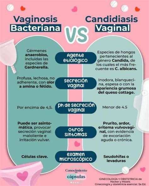 Diferencias Entre La Vaginosis Bacteriana Y La Candidiasis Vaginal My