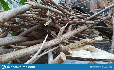 Piles Of Dried Wooden Twigs For Background 2 Stock Image Image Of