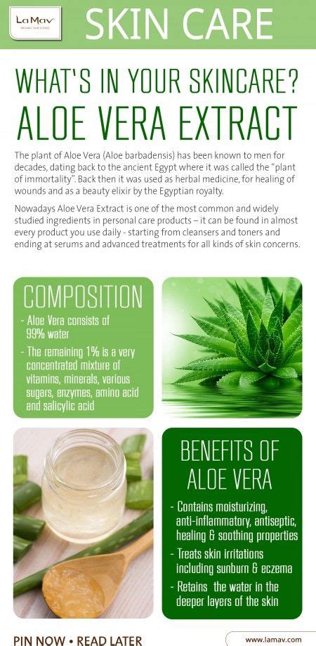 Infographic Aloe Vera Plant Of Immortality Contains Enzyme With