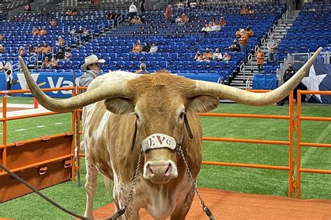 Why Your Mascot Sucks University Of Texas Longhorns Buckys 5th Quarter