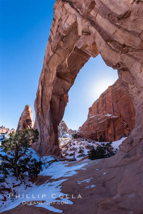 Pine Tree Arch In Arches National Park Utah 18186