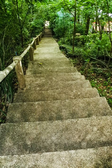 Liệu bản chuyển thể này có thể vượt qua cái bóng quá lớn của bản chuyển thể của đài loan do bộ 3 kì cựu tài năng huỳnh hiểu minh, từ hy viên và hà nhuận đông đã quá xuất sắc vào năm 2010. hình ảnh : lý lịch, Nở, hoa, Ngày, Môi trường, cánh đồng ...