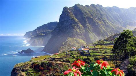 Die natur der insel ist umwerfend schön. Gemeinsam auf die Blumeninsel Madeira | Reisen, Kreuzfahrt ...