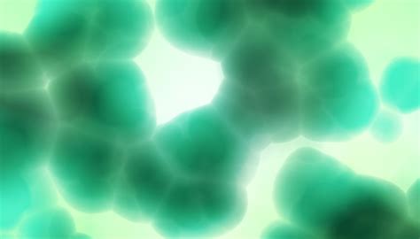 In the pages dealing with these organelles, we will describe the synthesis processes in more detail. How Does ADP Convert to ATP? | Sciencing