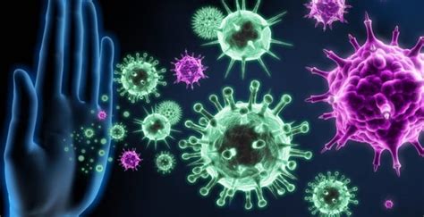Recomendaciones Para Fortalecer El Sistema Inmunol Gico En Tiempos De Covid Ministerio De