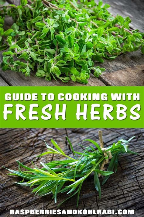 Cooking With Fresh Herbs Your Guide To Fresh Herbs Recipe Cooking