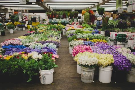 The original los angeles flower market is open monday through saturday—to both the trade and general public—and closed sunday. LA Fridays with Bob and Tom: Santee Alley and the Los ...