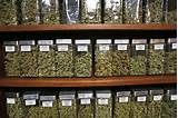 Marijuana Dispensaries In Boulder Colorado Pictures