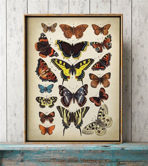 Butterfly Poster Butterfly Print Butterflies Wall Decor Etsy