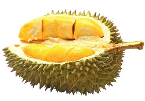 Half Durian Fruit Transparent Png Stickpng
