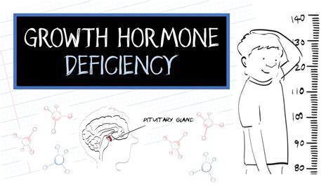 Growth Hormone Deficiency In Adults