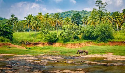 8.289.295 unabhängige bewertungen von hotels, restaurants und sehenswürdigkeiten sowie authentische reisefotos. Reisen nach Indien - Tipps für Ihren Indienurlaub, die ...