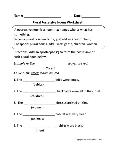 Possessive Nouns Worksheet Grade 2